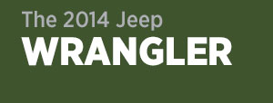 2014 Jeep Wrangler 2014 Jeep Wrangler